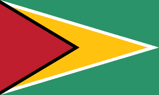 Guyana eSIM (Data + Voice + SMS)